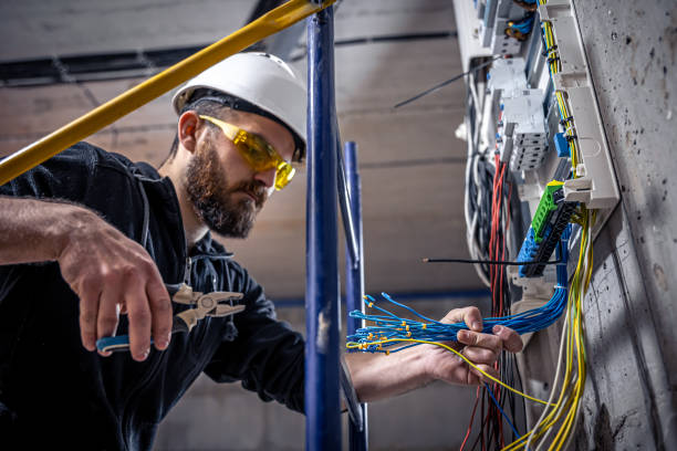 Best Electrical Troubleshooting Services  in Mount Morris, IL