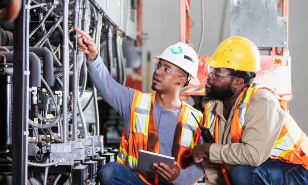 Best 24-Hour Electrician  in Mount Morris, IL