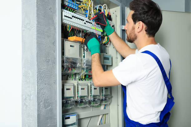 Best Electrician for Home Renovation  in Mount Morris, IL